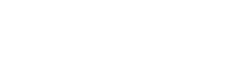 logo pssm formatrice blanc